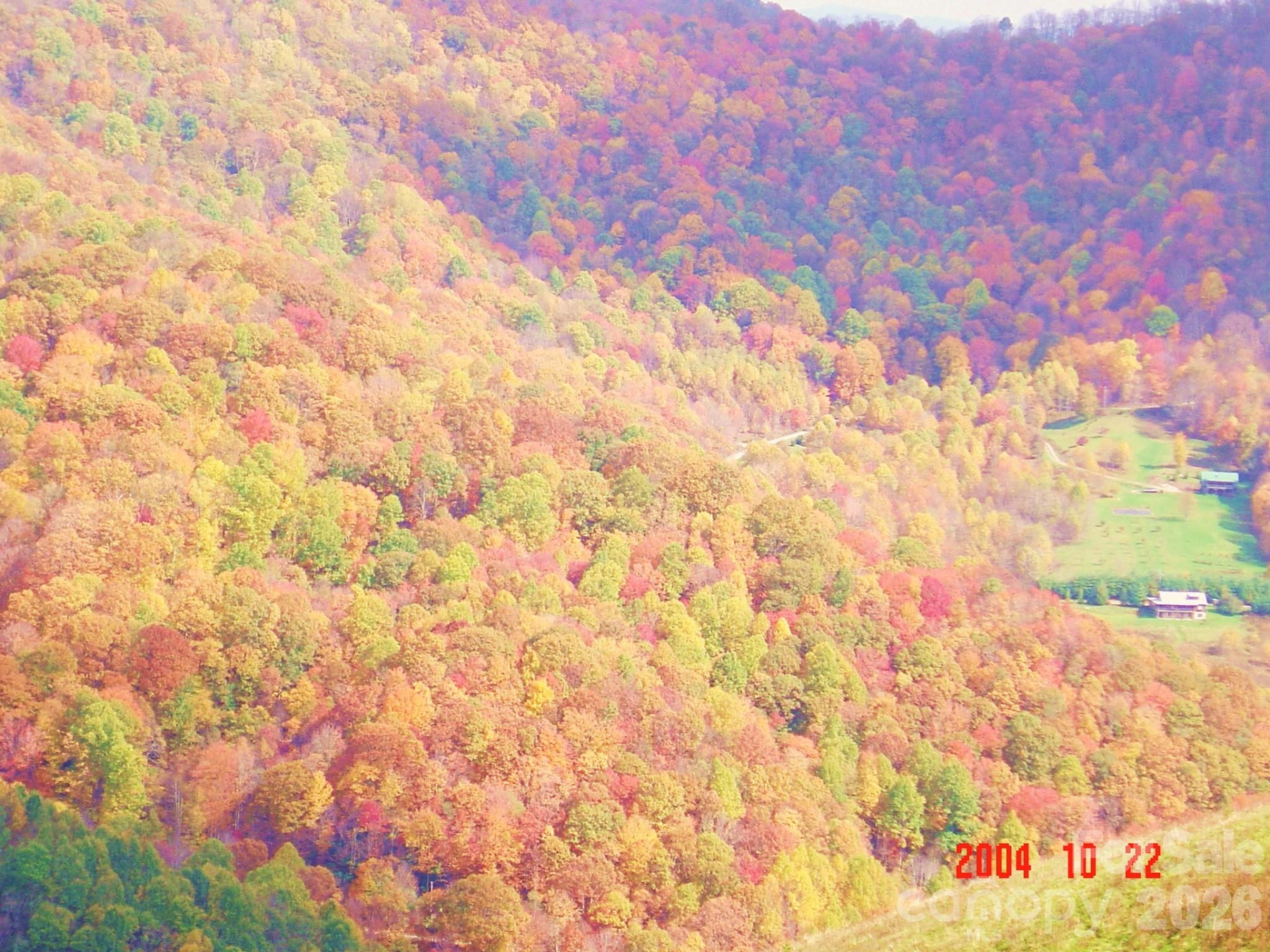 1050 Turkey Trot Road - Photo 11