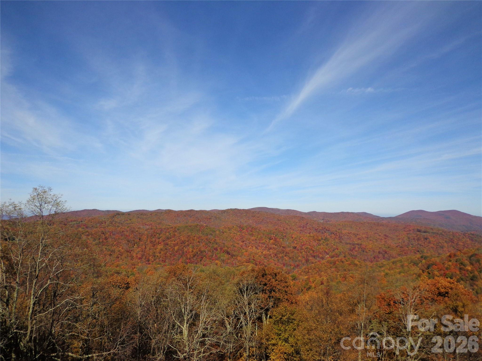 1050 Turkey Trot Road - Photo 17
