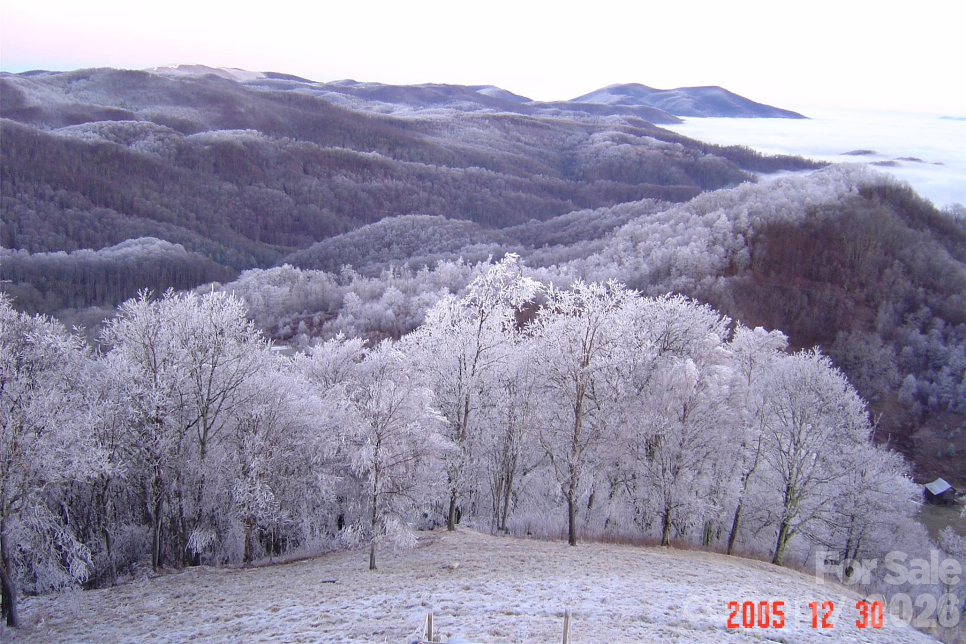 1050 Turkey Trot Road - Photo 20