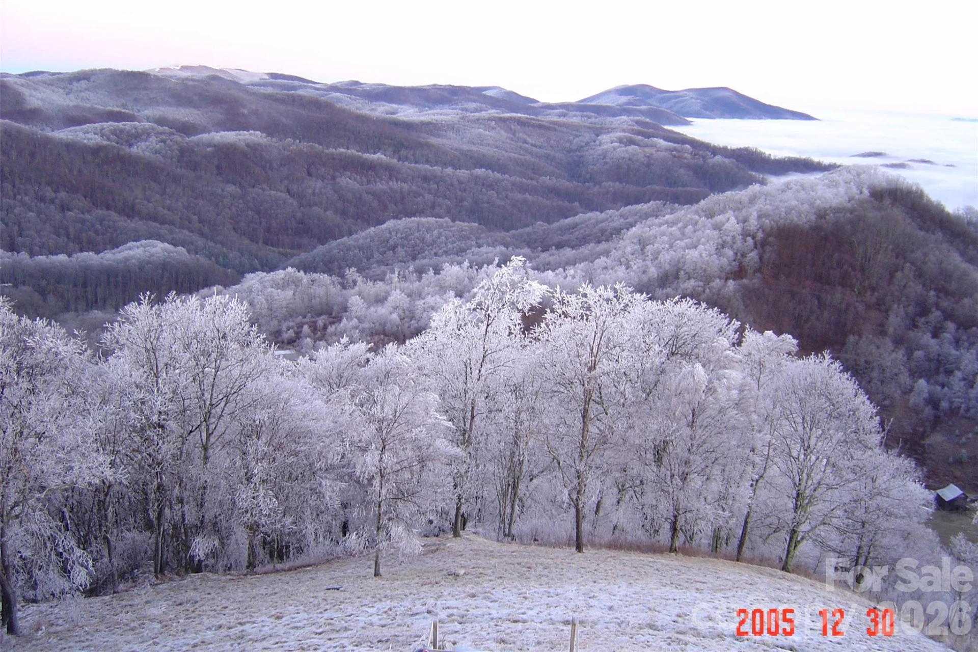 1050 Turkey Trot Road - Photo 20
