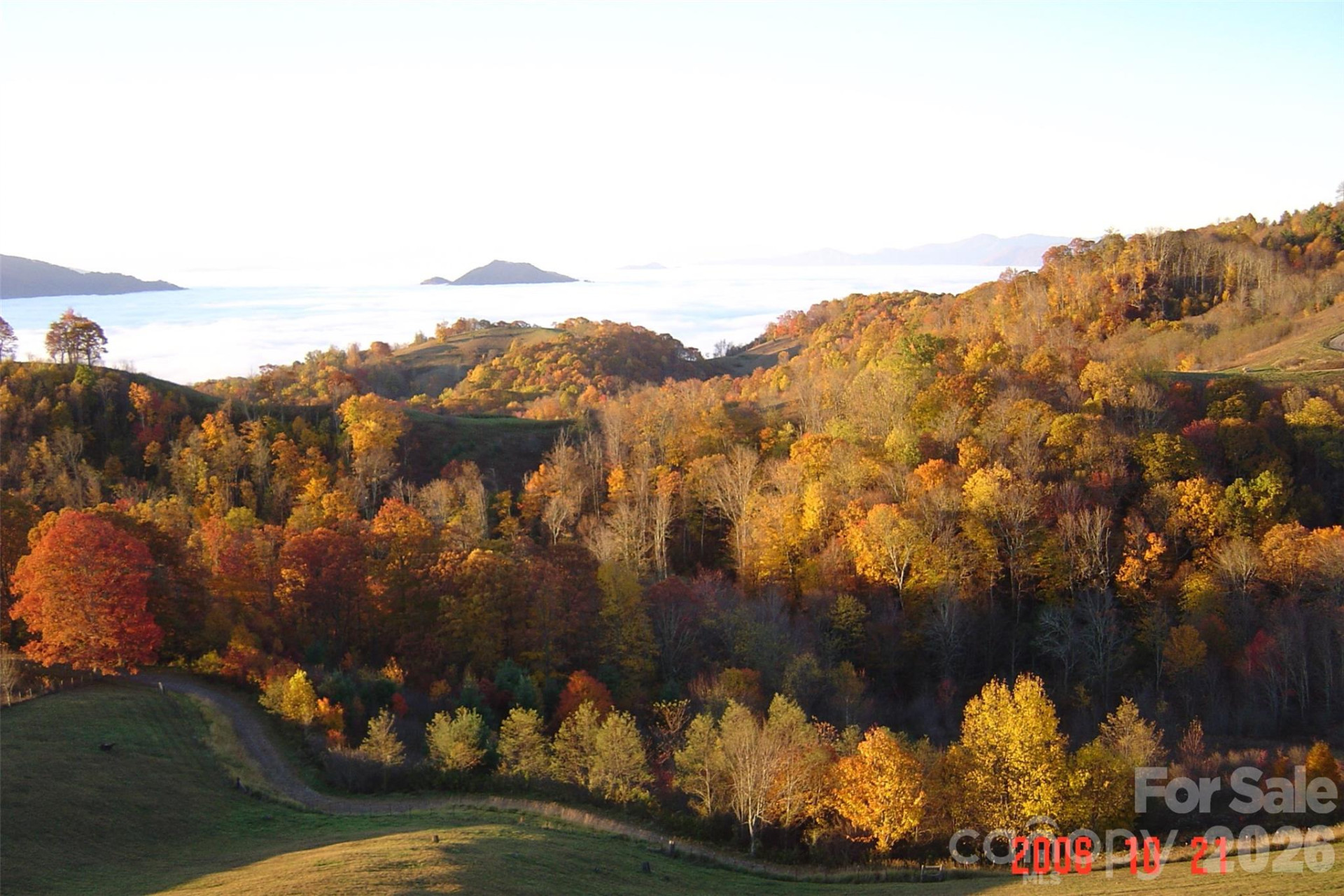1050 Turkey Trot Road - Photo 21