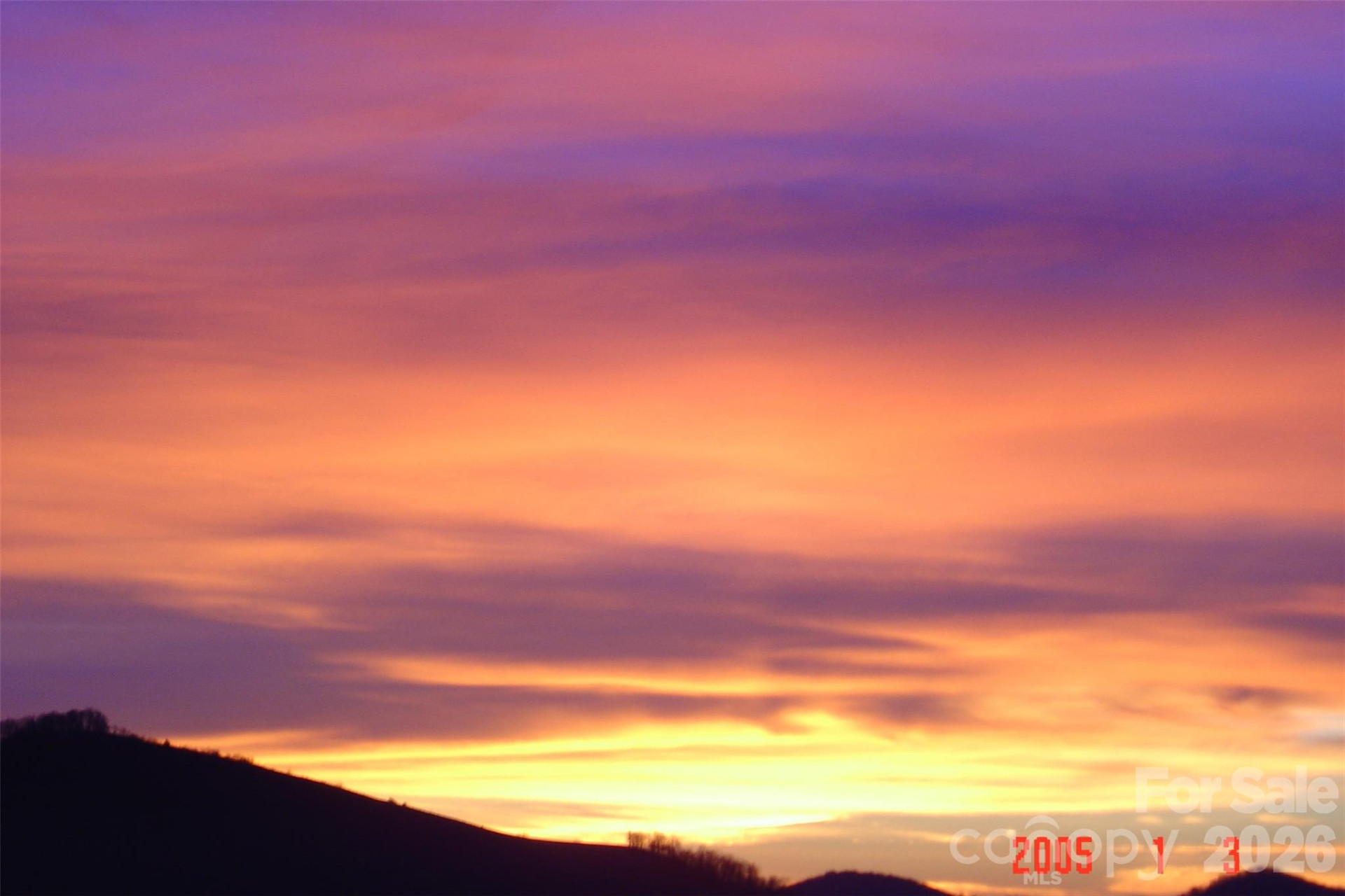 1050 Turkey Trot Road - Photo 5