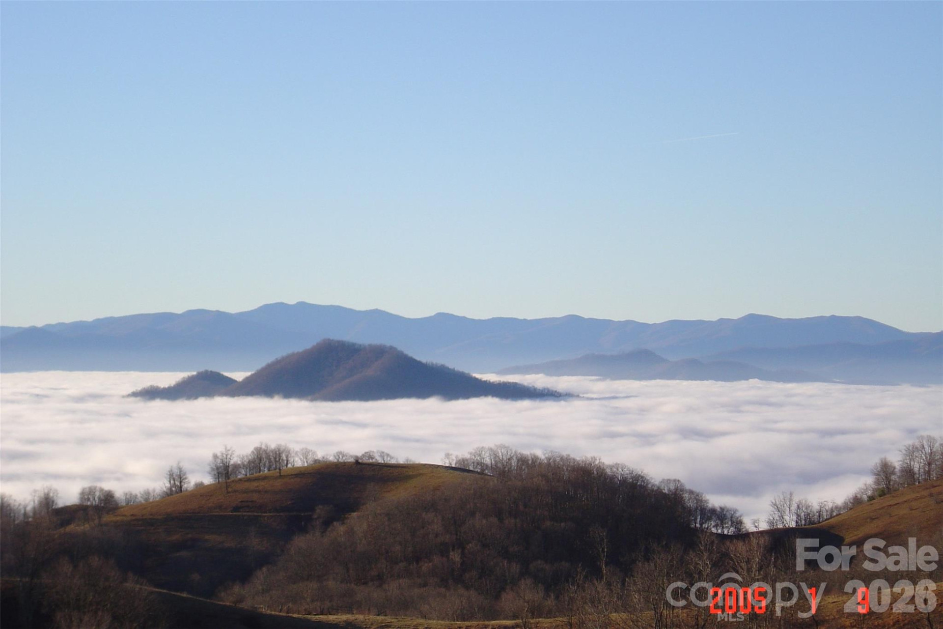 1050 Turkey Trot Road - Photo 6