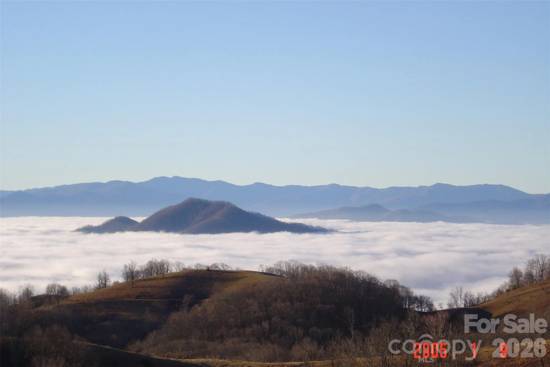 1050 Turkey Trot Road - Photo 6