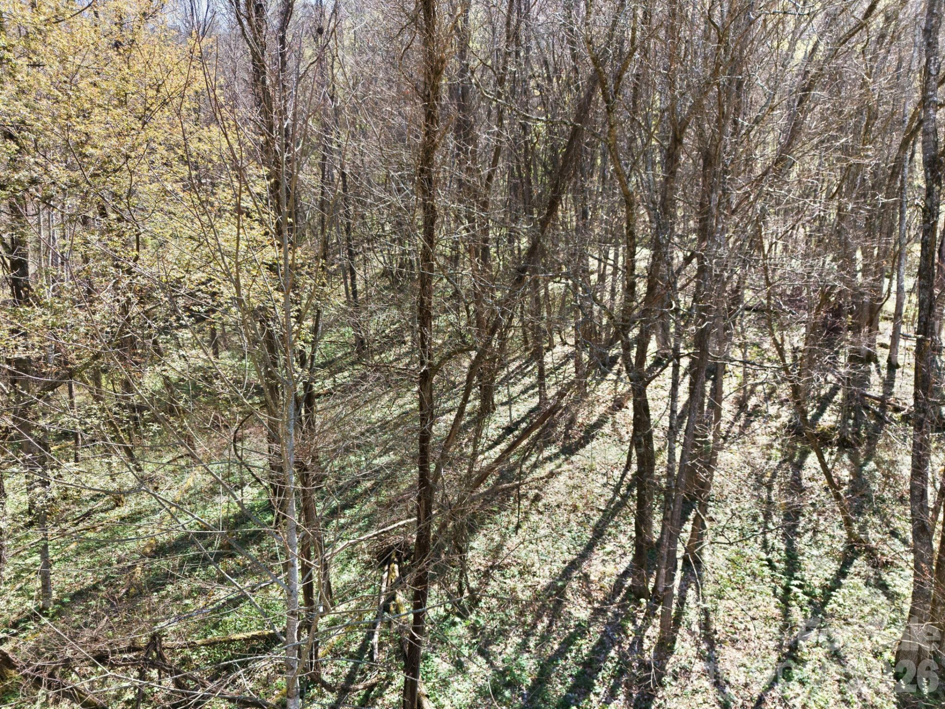 210 Apple Creek Road - Photo 16