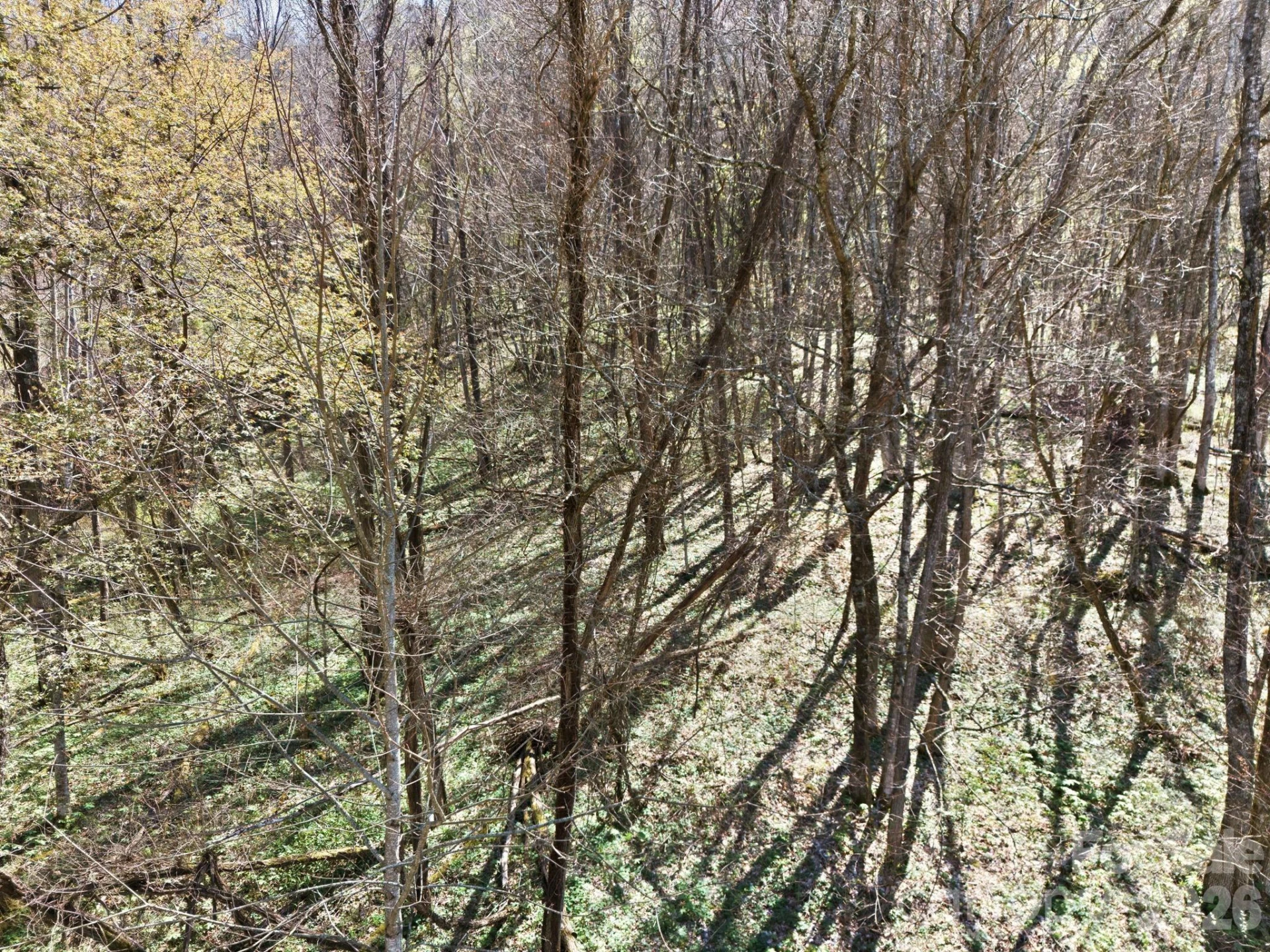 210 Apple Creek Road - Photo 16