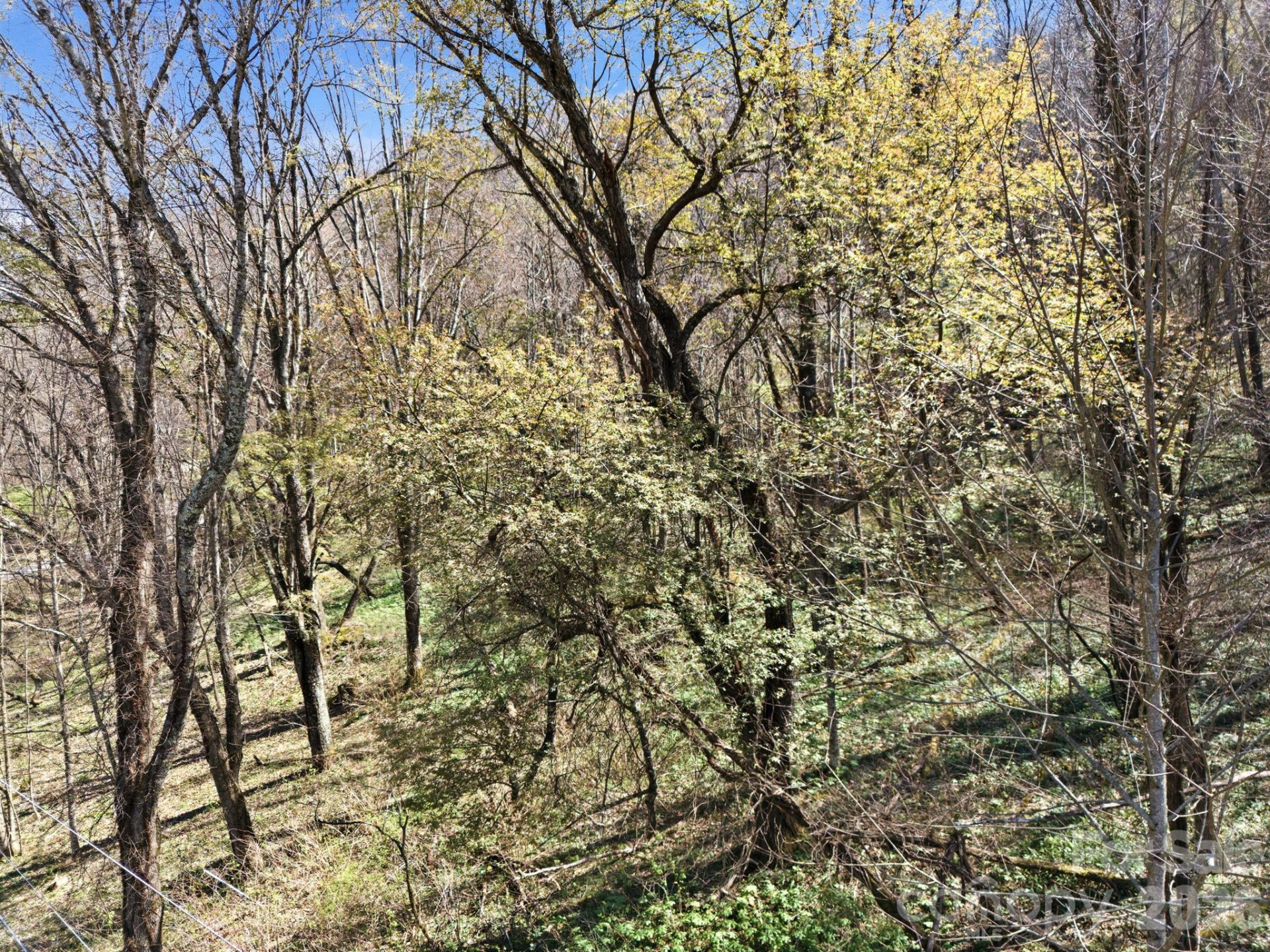 210 Apple Creek Road - Photo 17