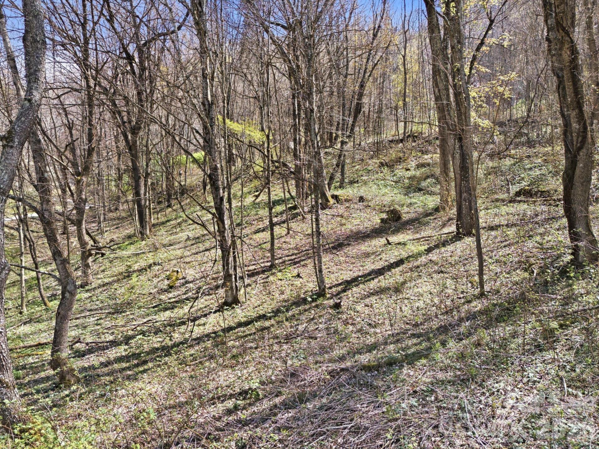 210 Apple Creek Road - Photo 3