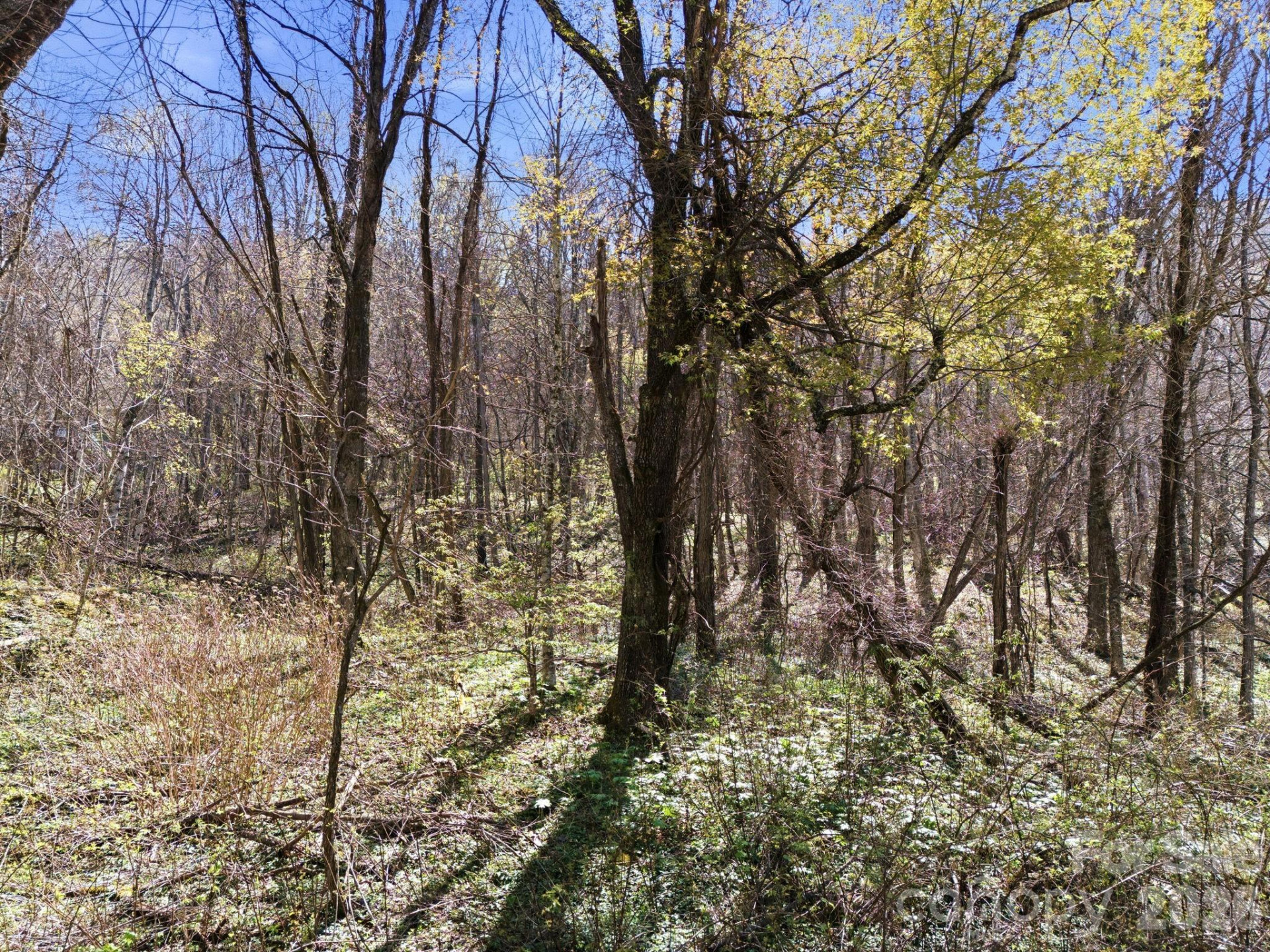 210 Apple Creek Road - Photo 4