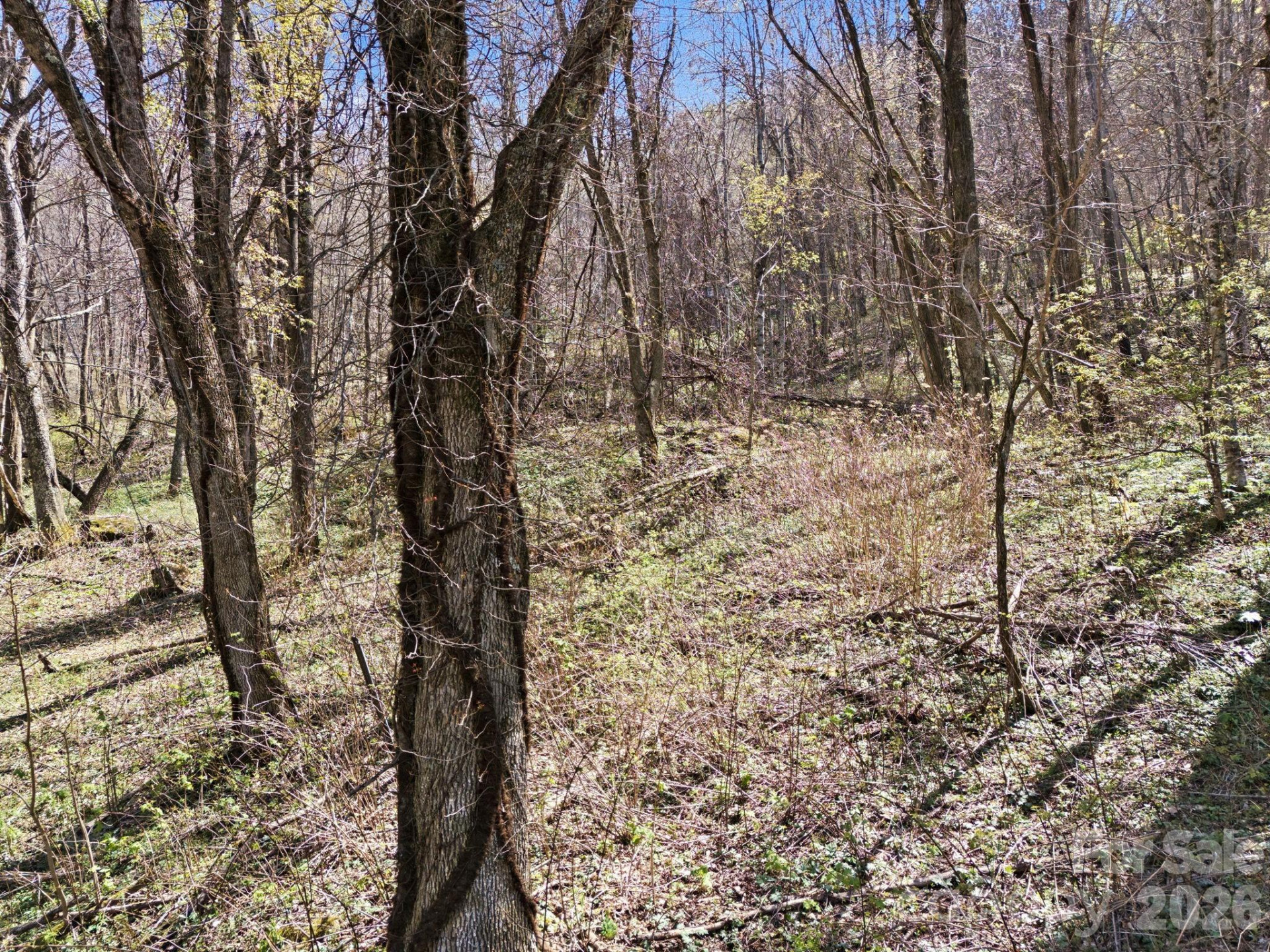 210 Apple Creek Road - Photo 5