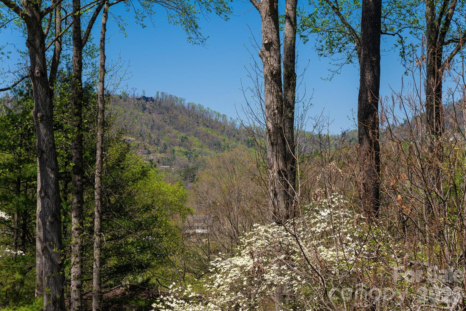 1002 Timber Lane - Photo 43