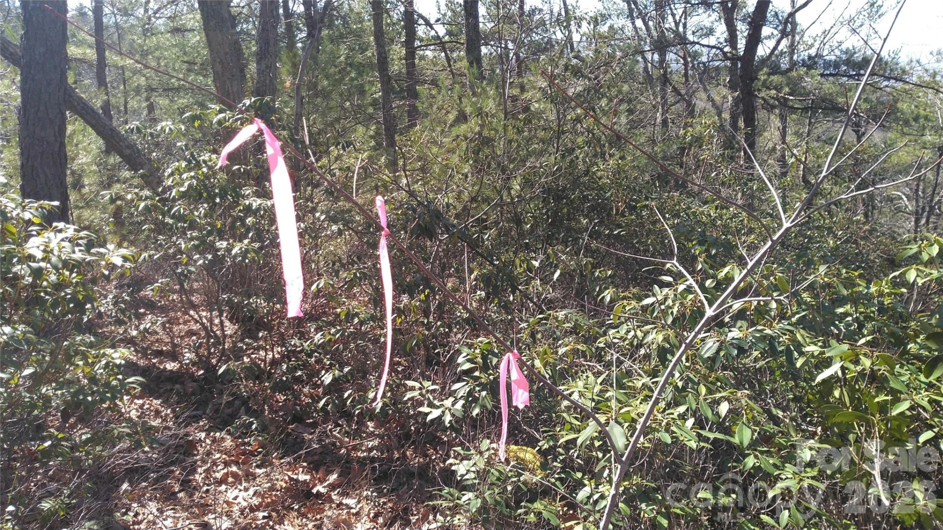 Lot 10-11B Quail Drive - Photo 3