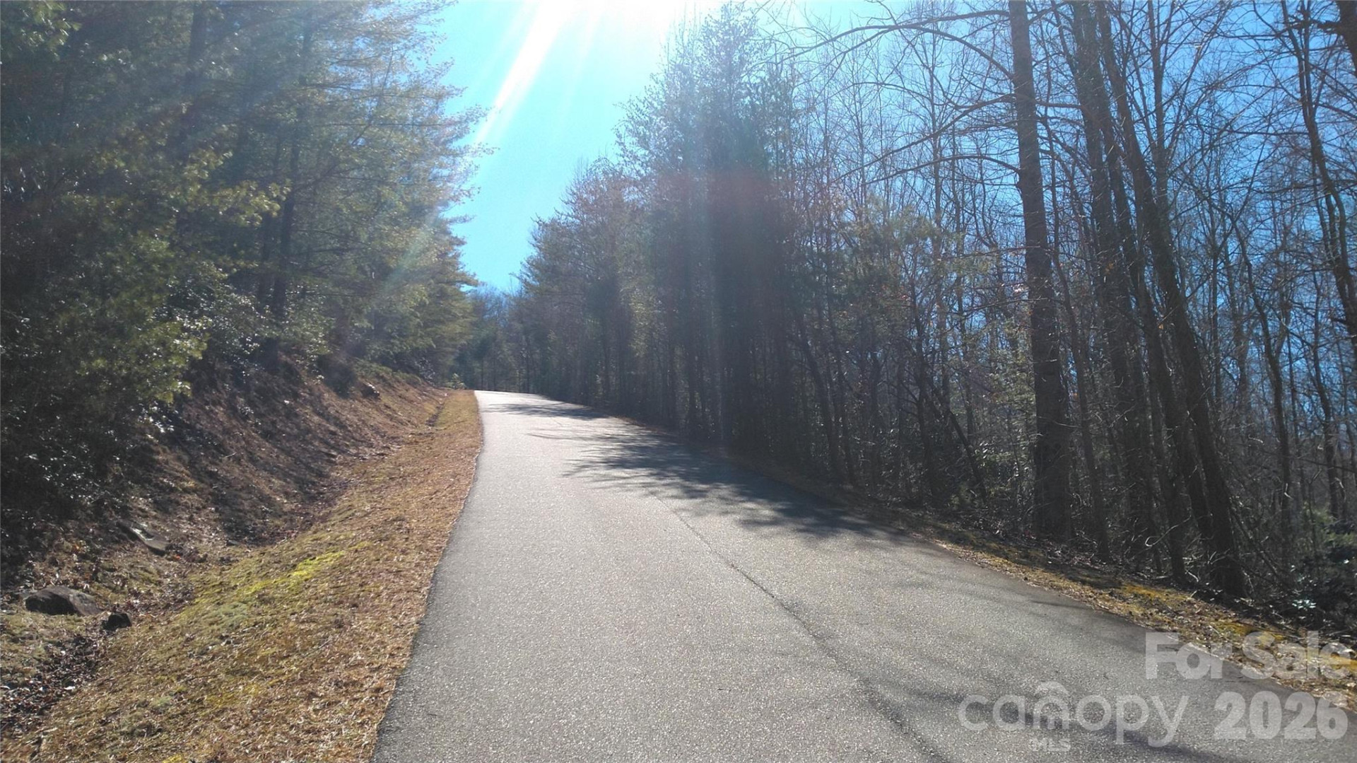 Lot 10-11B Quail Drive - Photo 4