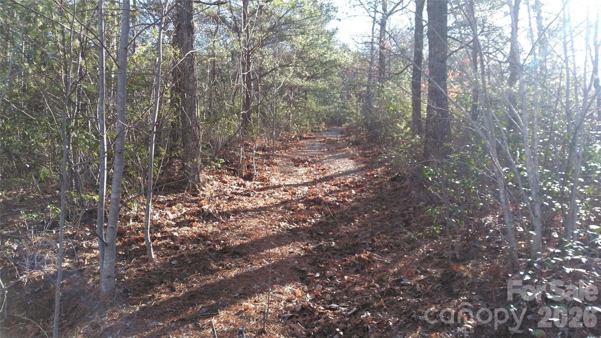 Lot 10-11B Quail Drive - Photo 7