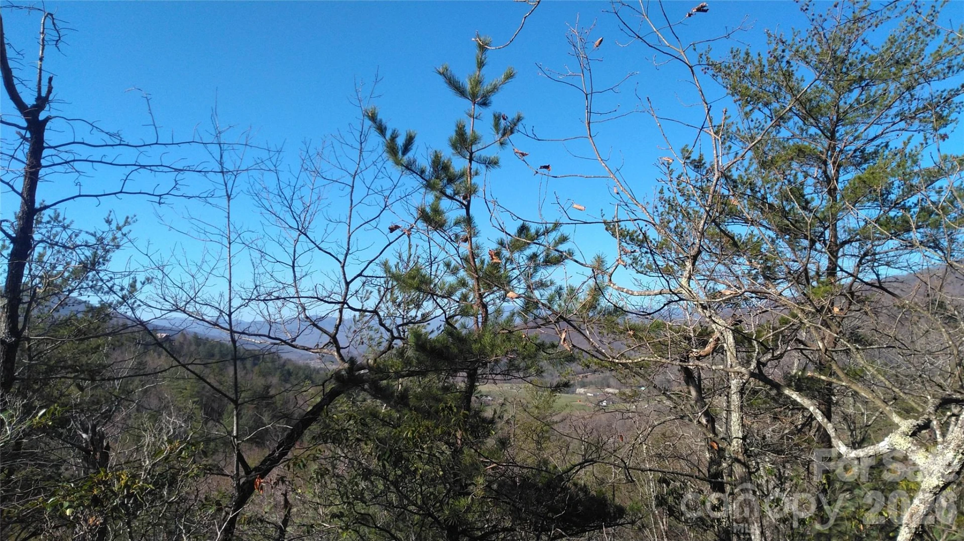 Lot 10-11B Quail Drive - Photo 8