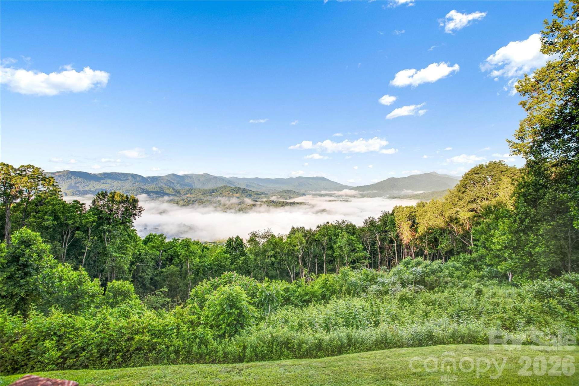 1087 Brigadoon Drive - Photo 3