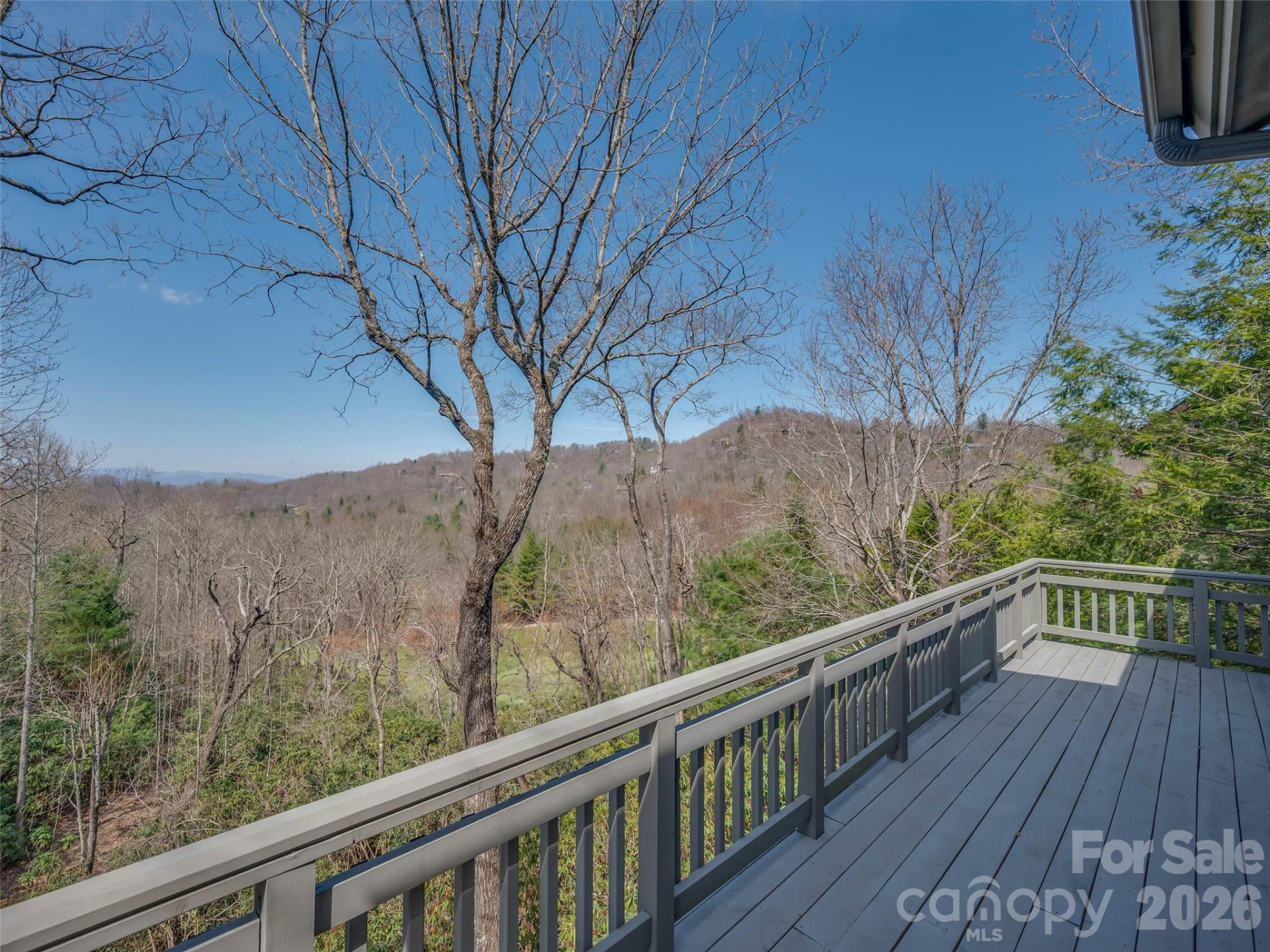 22 Wild Ivy Run - Photo 17