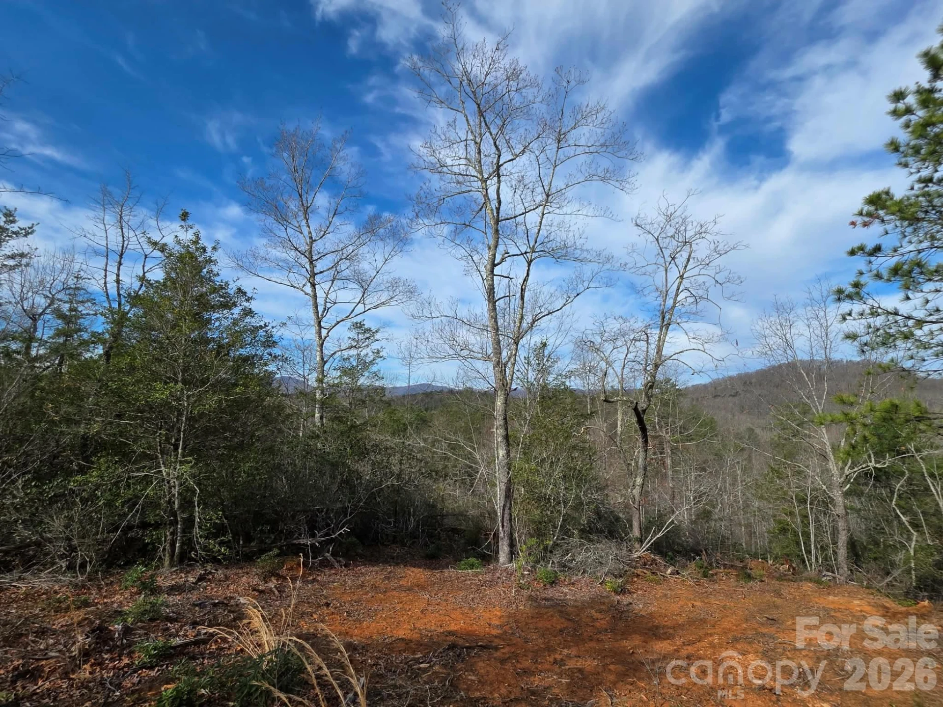 Lot 9 Kerlee Lane