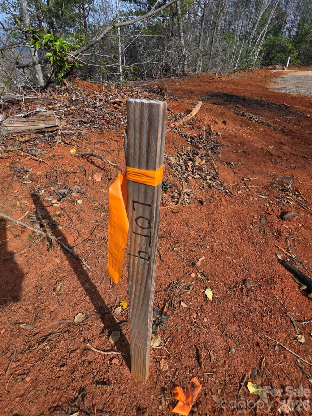 Lot 9 Kerlee Lane - Photo 2