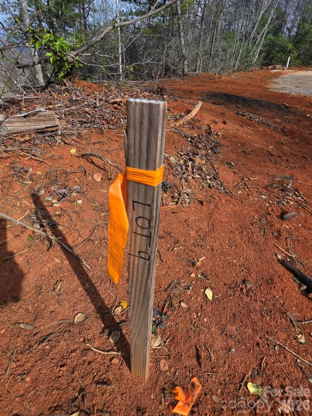 Lot 9 Kerlee Lane - Photo 2