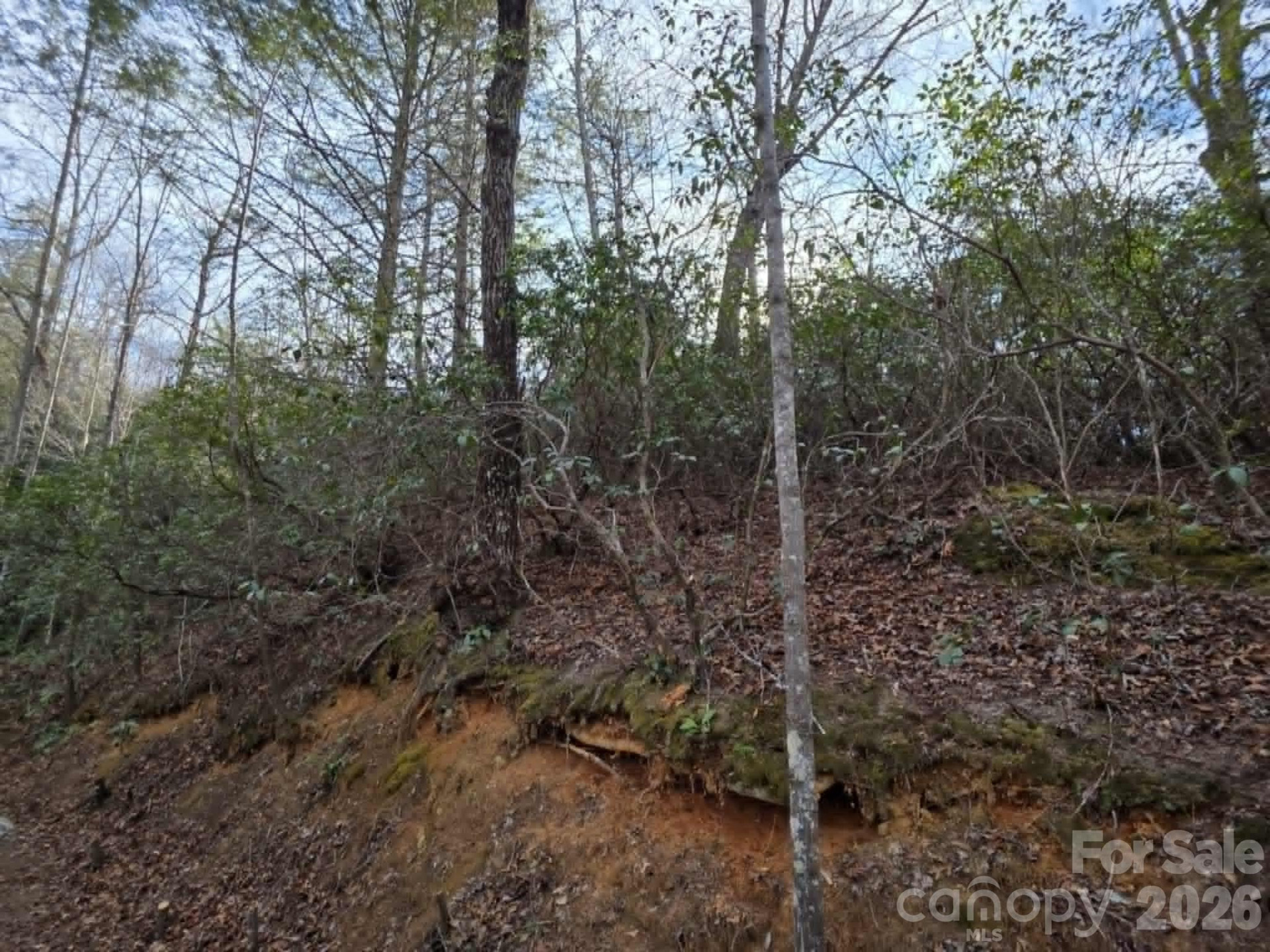 Lot 9 Kerlee Lane - Photo 13