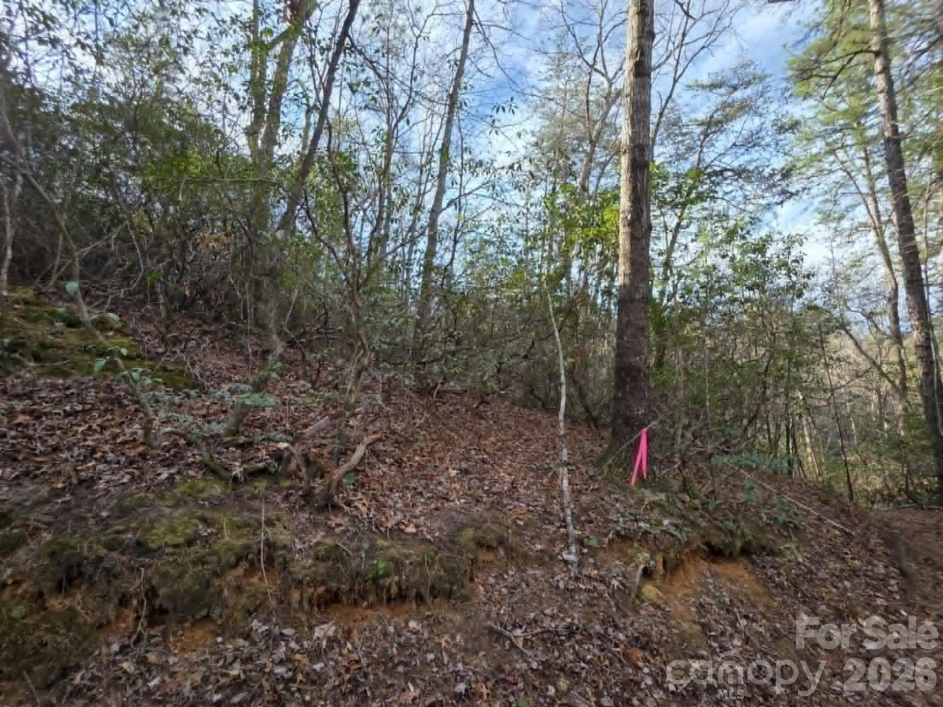 Lot 9 Kerlee Lane - Photo 14