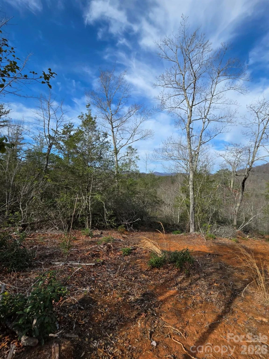 Lot 9 Kerlee Lane - Photo 3