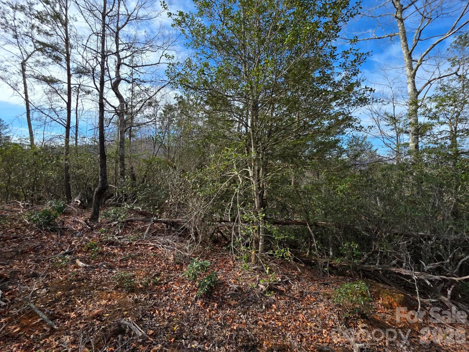 Lot 9 Kerlee Lane - Photo 6