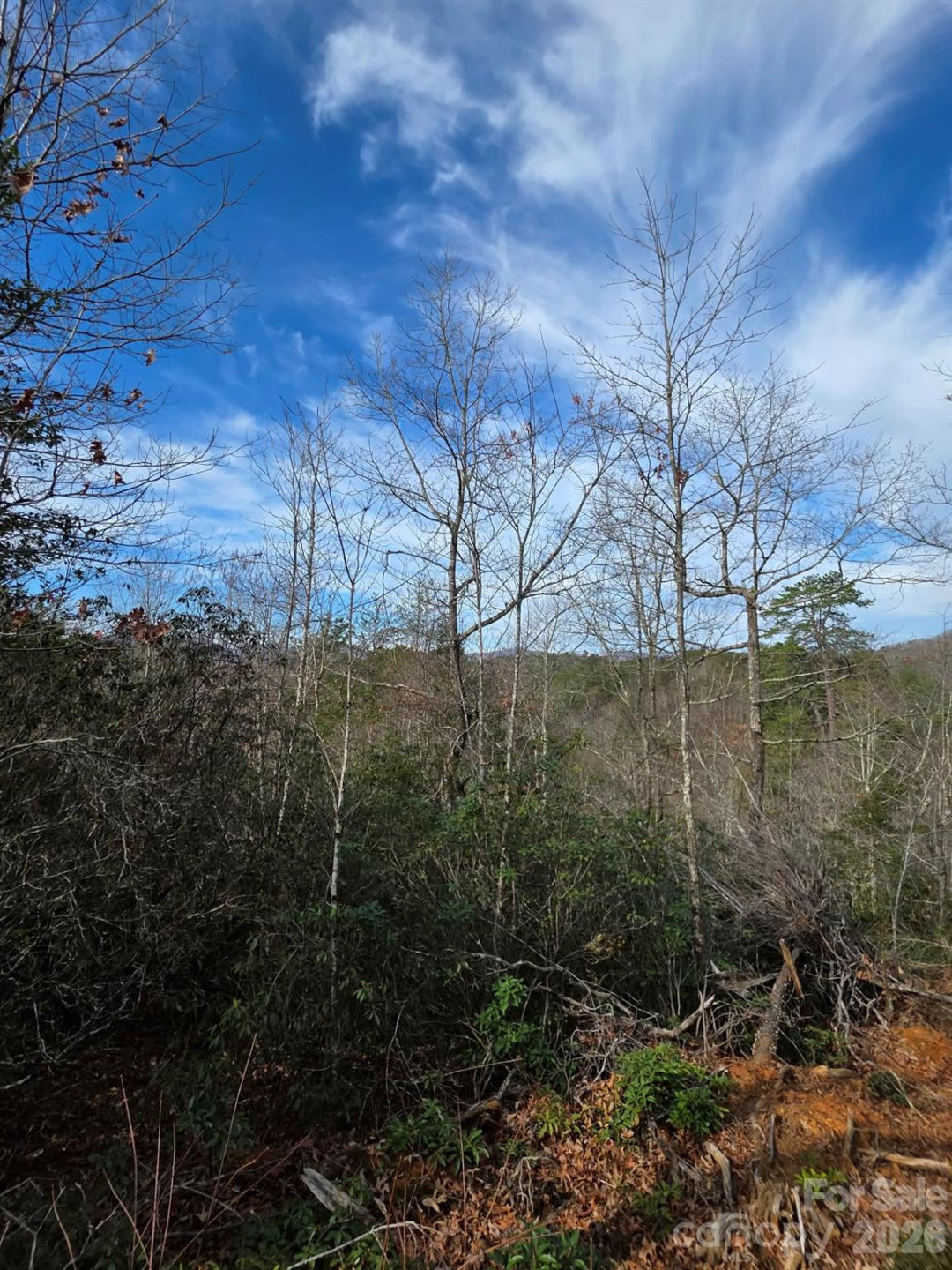 Lot 9 Kerlee Lane - Photo 7