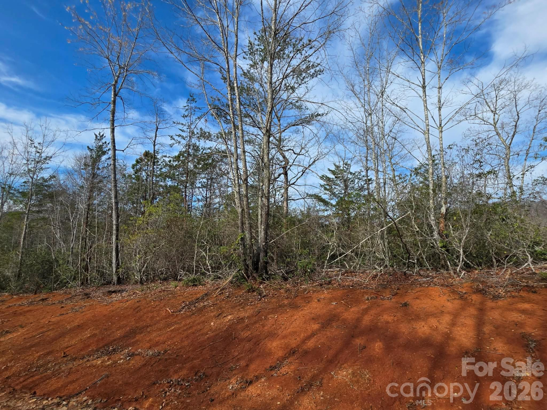 Lot 9 Kerlee Lane - Photo 8