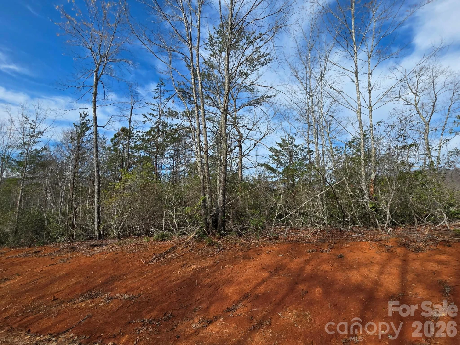 Lot 9 Kerlee Lane - Photo 8