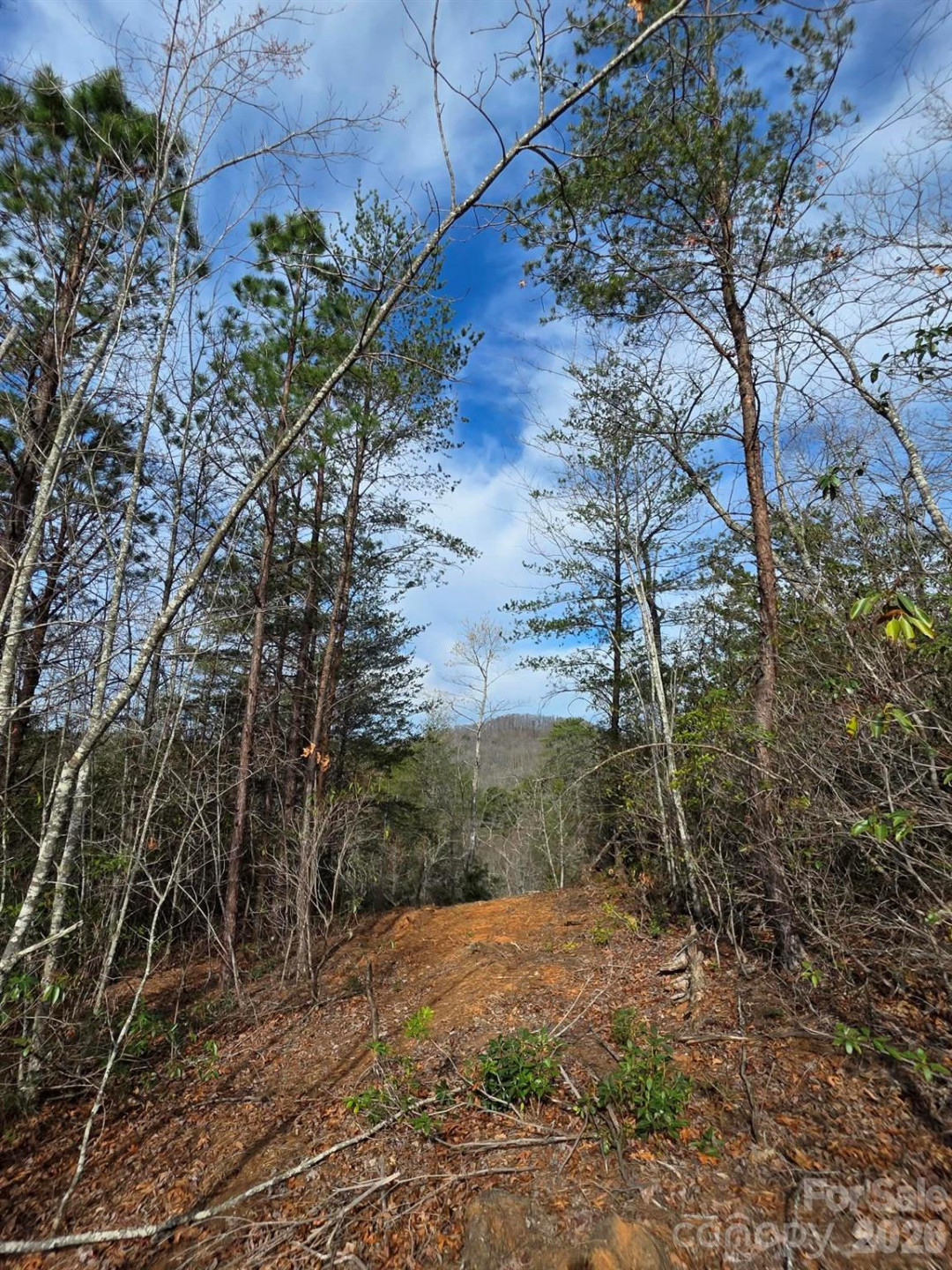 Lot 9 Kerlee Lane - Photo 9