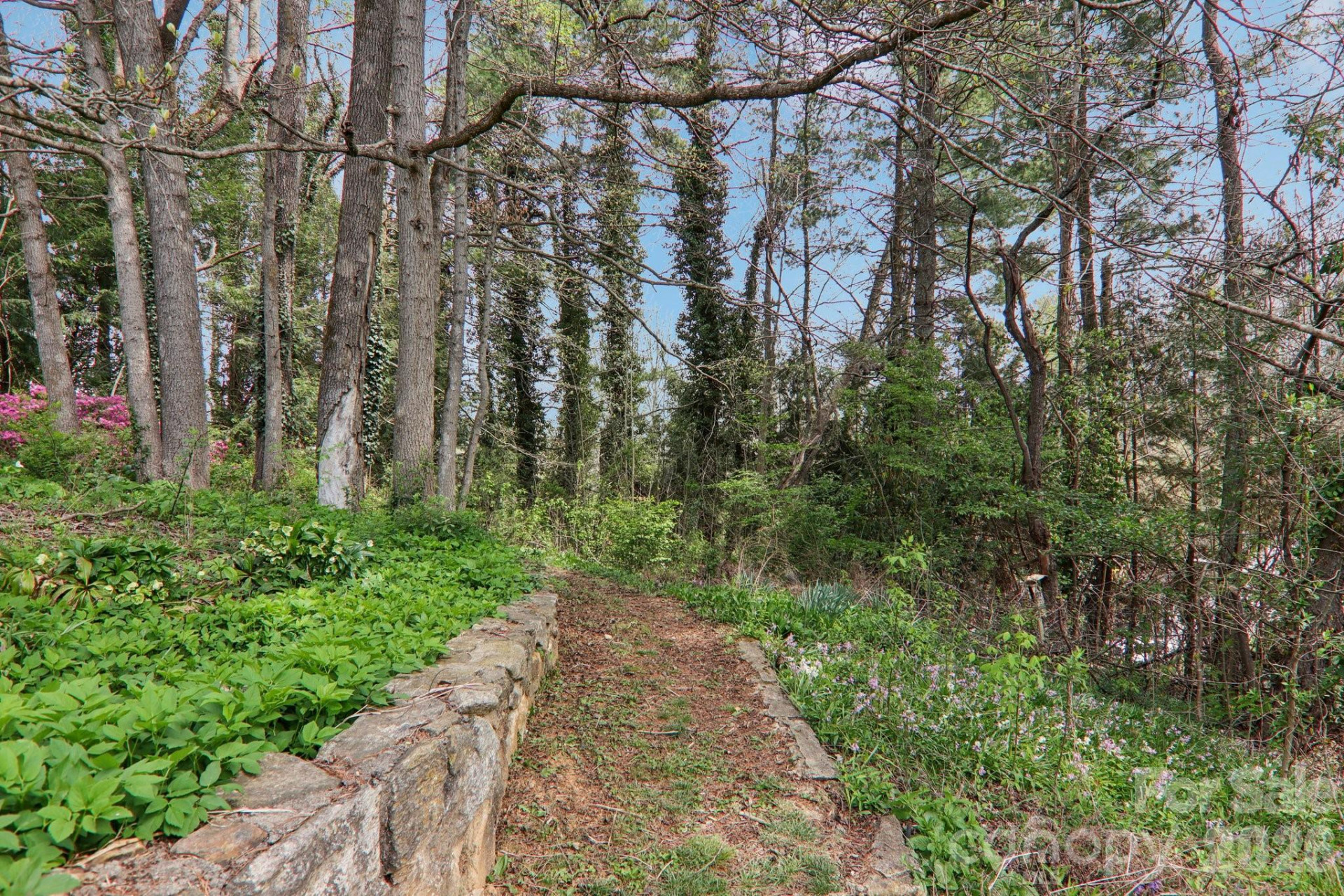 80 Sunset Drive - Photo 35