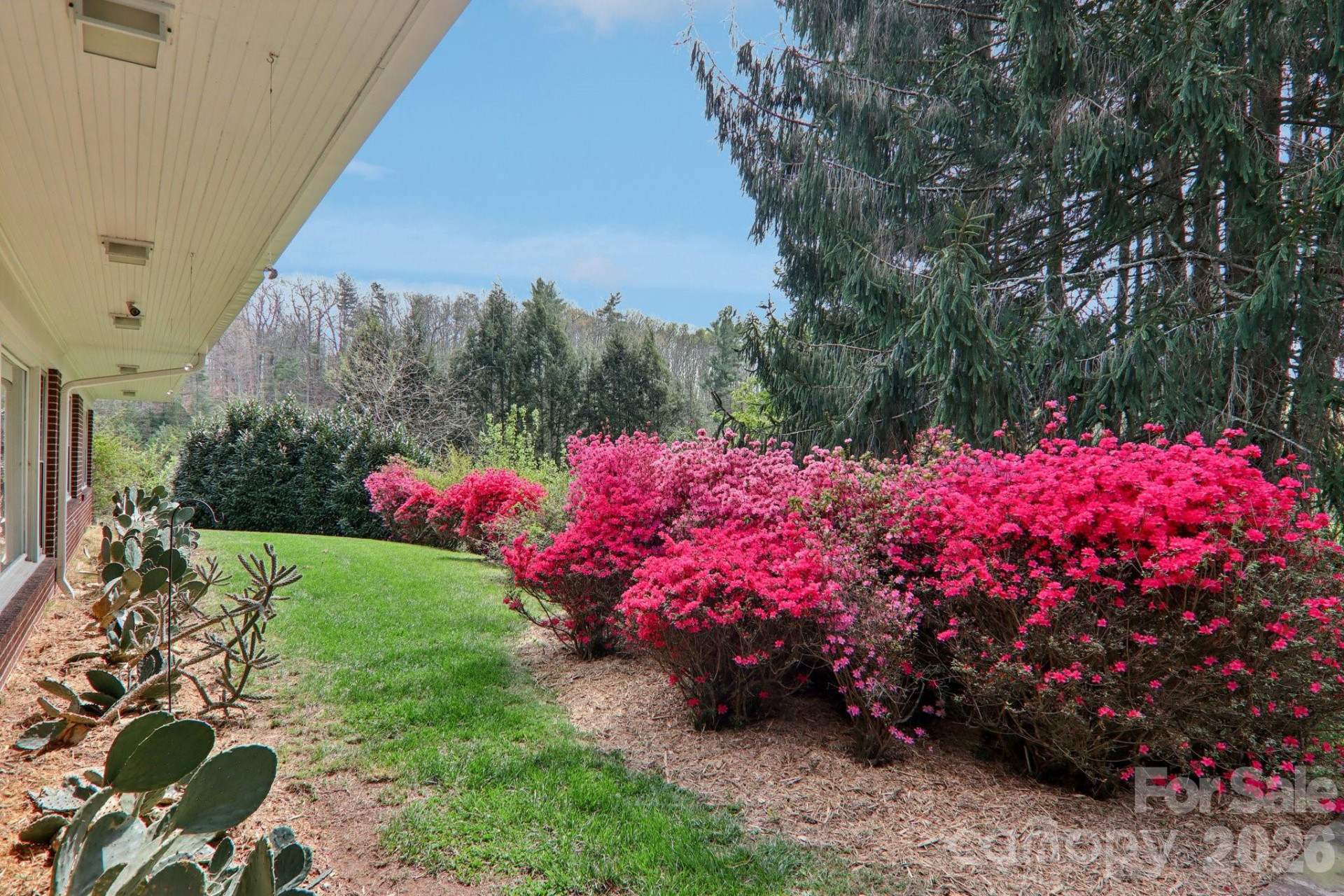 80 Sunset Drive - Photo 38