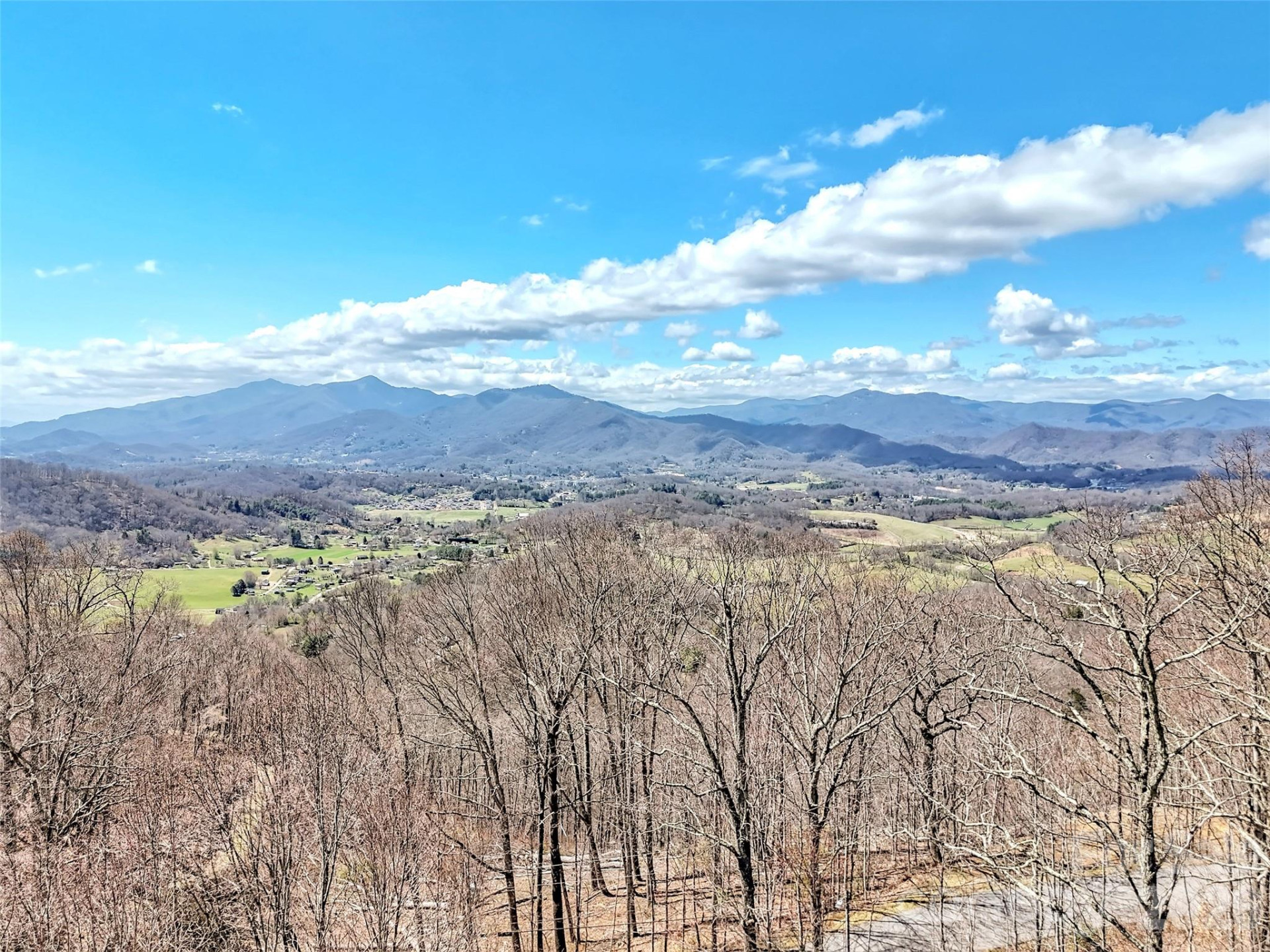 523 Brandywine Road - Photo 46