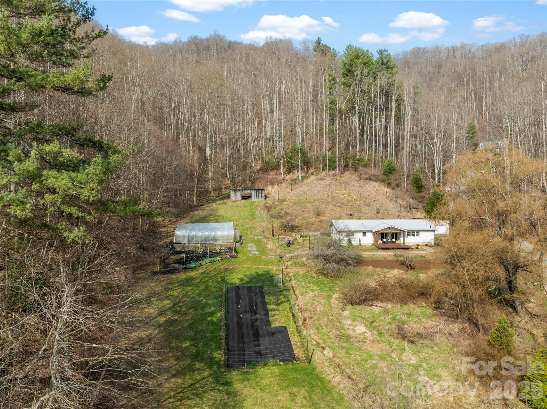 1105 Griffin Branch Road - Photo 2