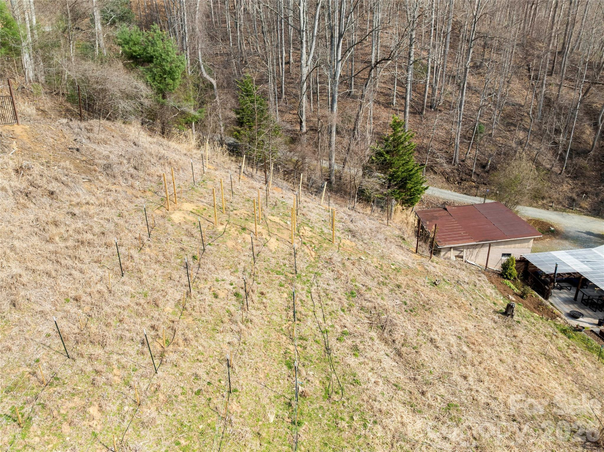 1105 Griffin Branch Road - Photo 38