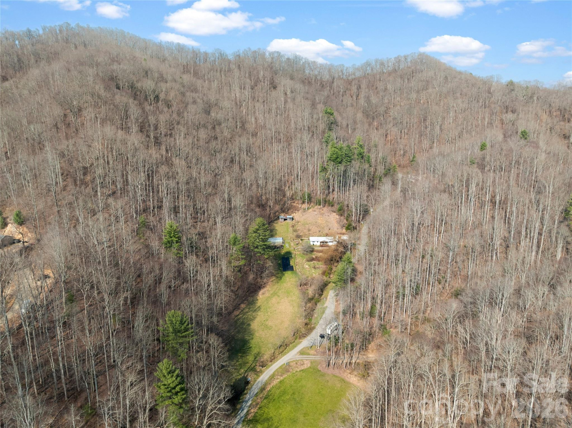 1105 Griffin Branch Road - Photo 43