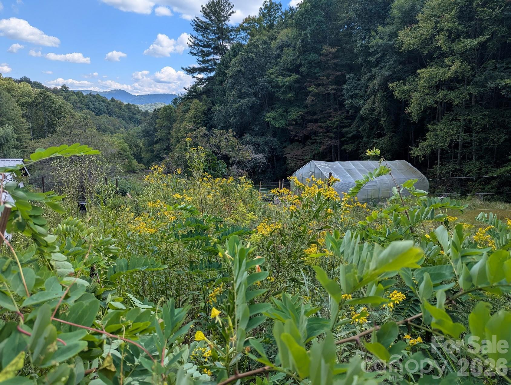 1105 Griffin Branch Road - Photo 46