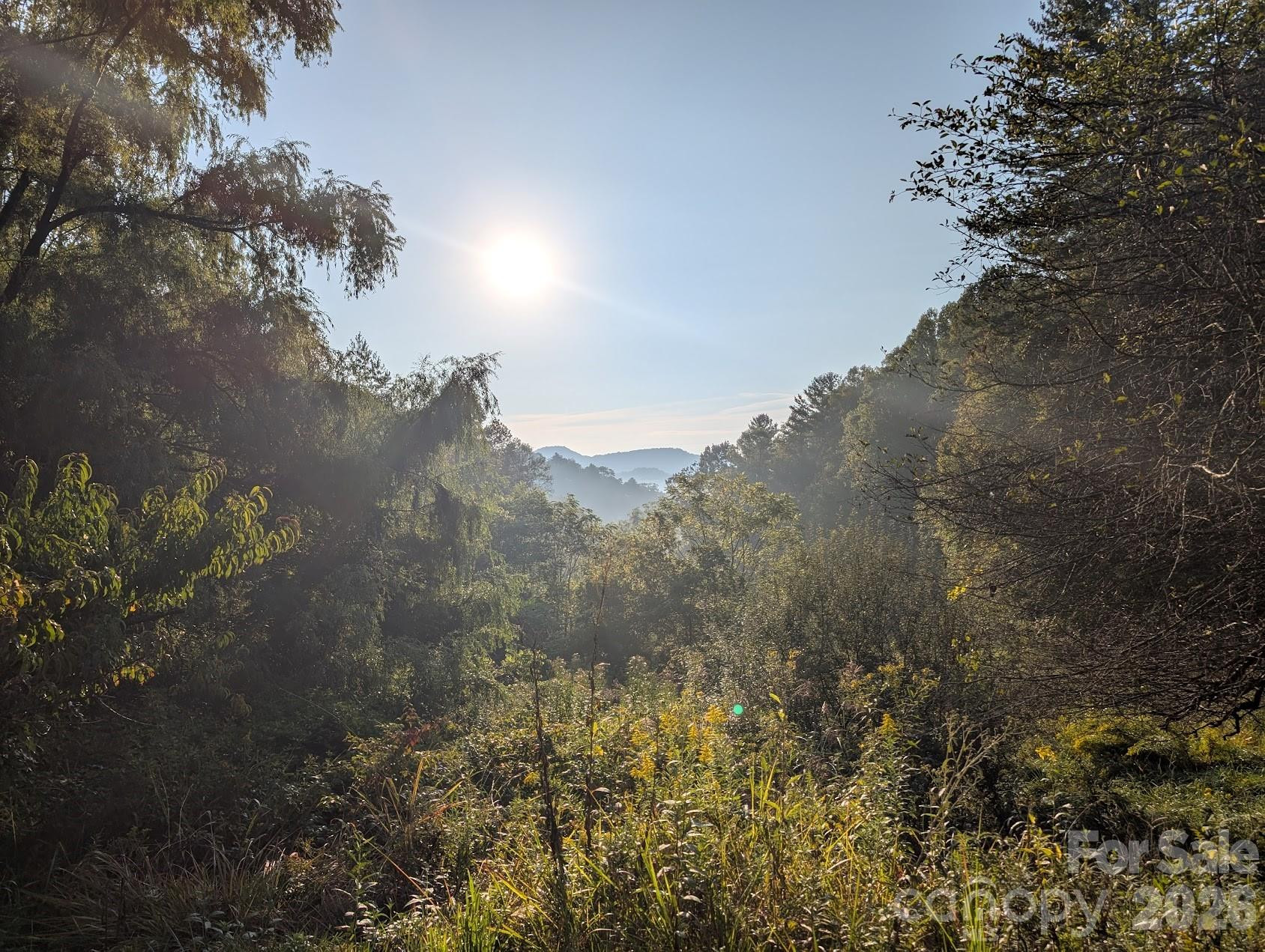 1105 Griffin Branch Road - Photo 47