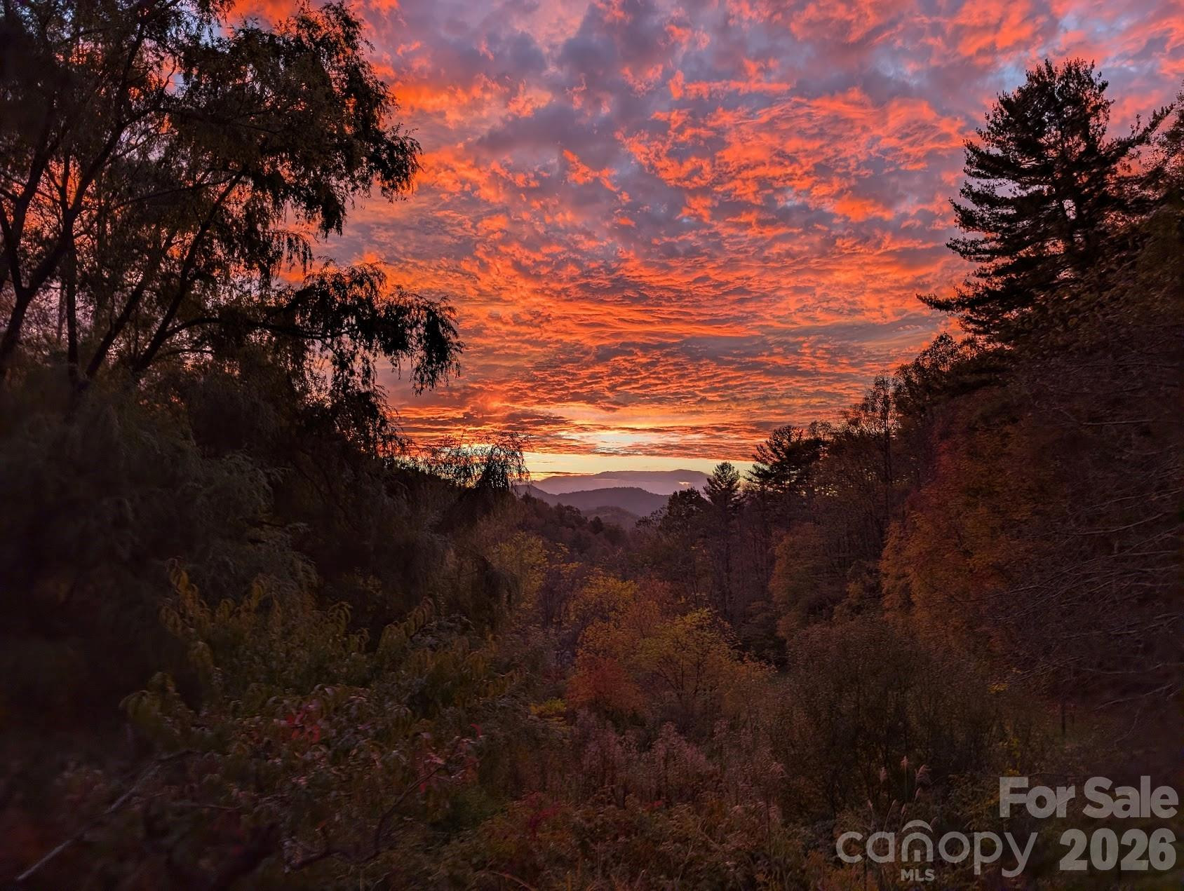 1105 Griffin Branch Road - Photo 48