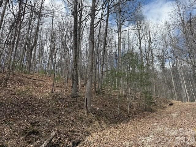 158 Chattooga Run #402