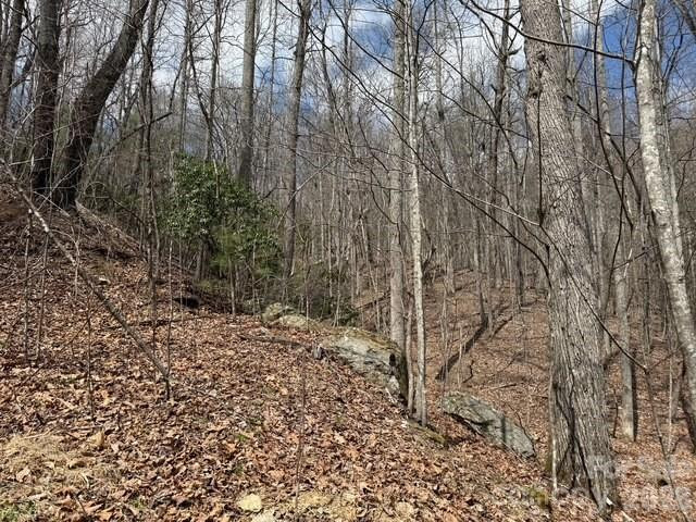 158 Chattooga Run #402 - Photo 3