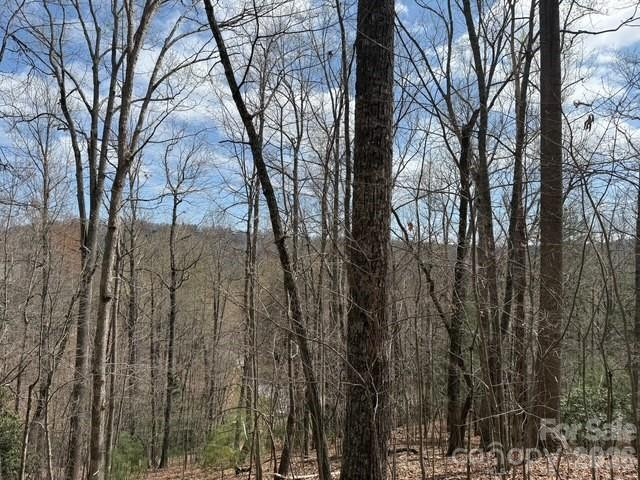 158 Chattooga Run #402 - Photo 4