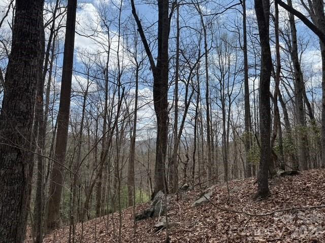 158 Chattooga Run #402 - Photo 5