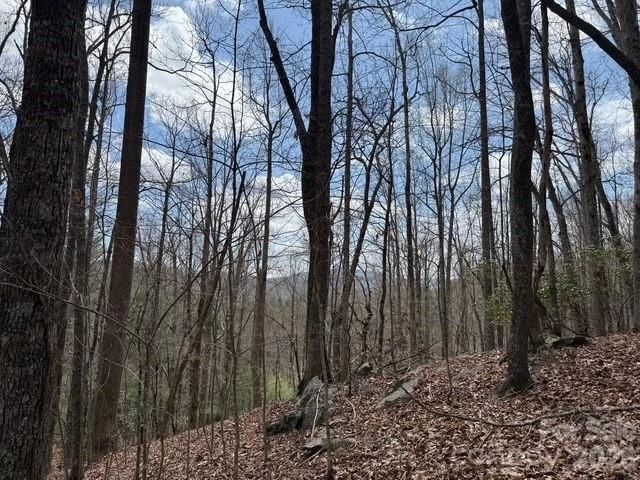 158 Chattooga Run #402 - Photo 5