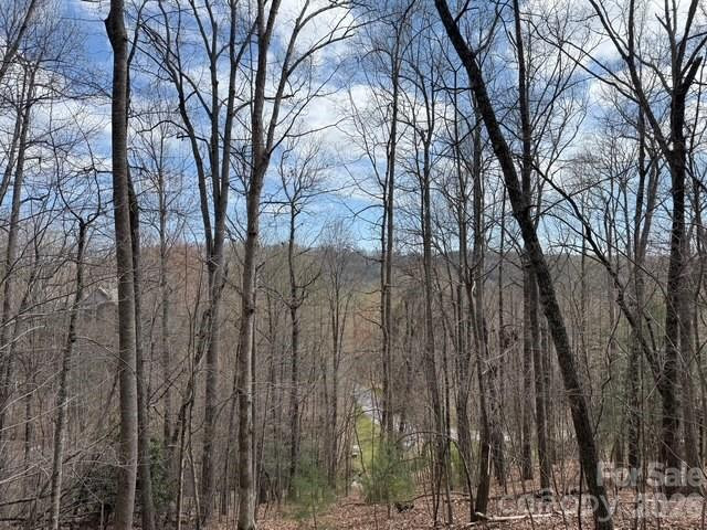 158 Chattooga Run #402 - Photo 6