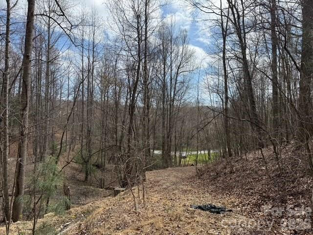 158 Chattooga Run #402 - Photo 7