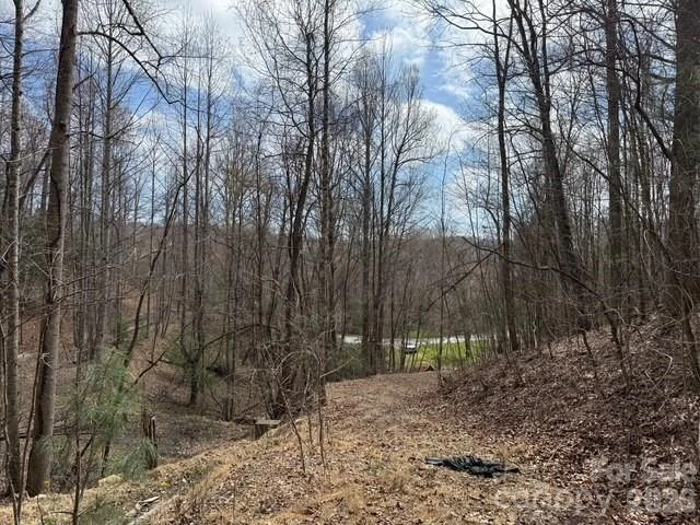 158 Chattooga Run #402 - Photo 7
