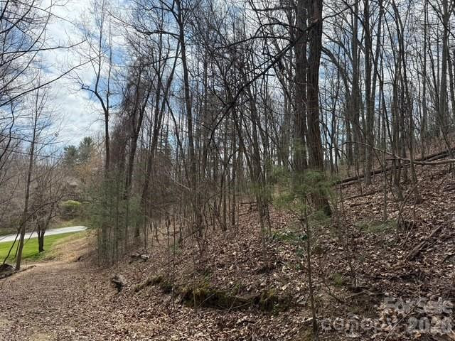 158 Chattooga Run #402 - Photo 8